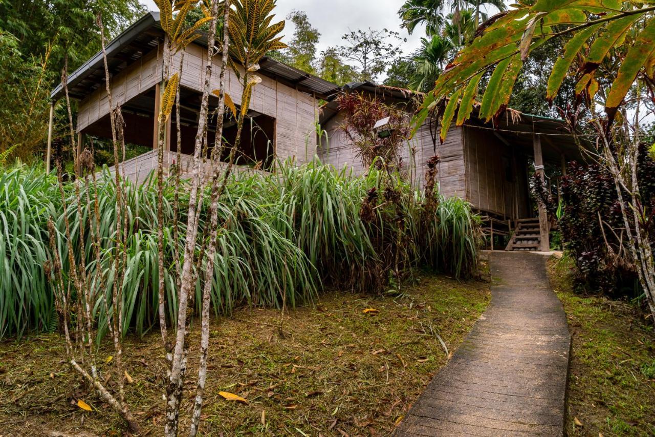 Rain Forest Inn Ringlet Exterior photo